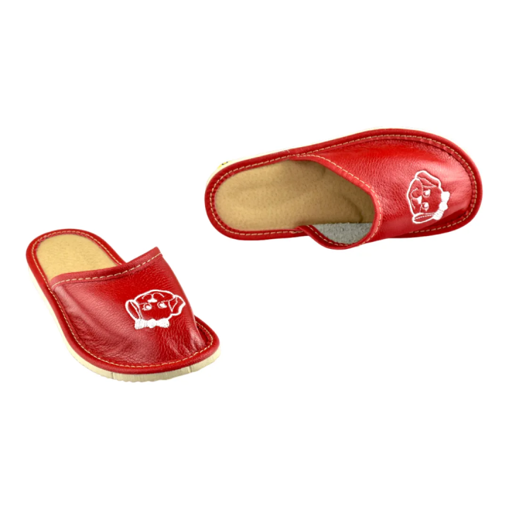 Kapcie dziecięce czerwone z pieskiem, pantofle dziecięce - numer 312